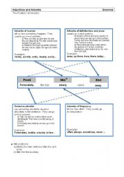 English Worksheet: The position of adverbs