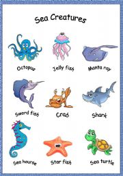 sea creatures