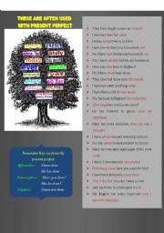 Present Perfect Tense: Common Adverbs and Phrases