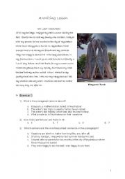 English Worksheet: My Last Vacation