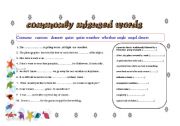 English worksheet: commonly misused words