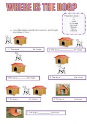 English Worksheet: Where is the dog?