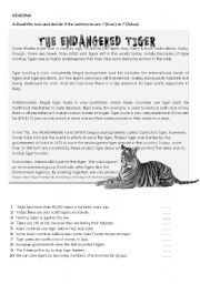 English Worksheet: Integrated Skills-Pre-FCE