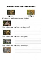 English Worksheet: Animals with spots and stripes