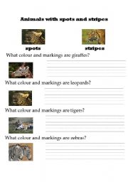 English worksheet: Animals with spots and stripes