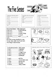 English Worksheet: The Five Senses