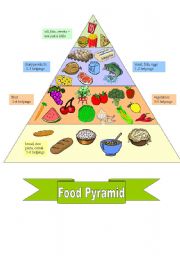 English Worksheet: FOOD PYRAMID + worksheet