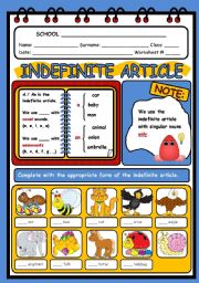 THE INDEFINITE ARTICLE