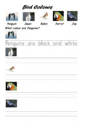 English Worksheet: Bird Colours