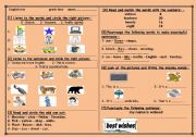 English worksheet: nice test