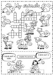 English Worksheet: My animals