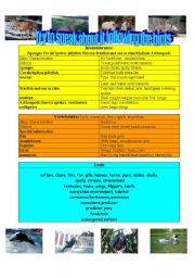 English Worksheet: REGARDING ANIMALS