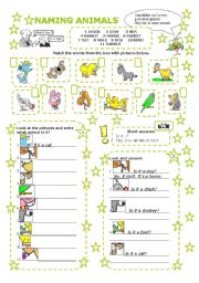 English Worksheet: NAMING ANIMALS - WHAT IS IT?