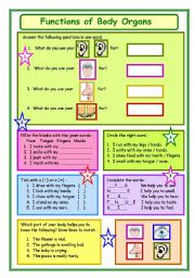 English Worksheet: Functions of Body Organs