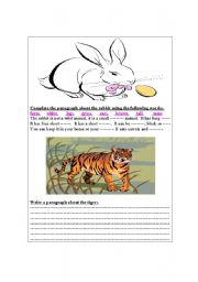 English worksheet: Describing animals