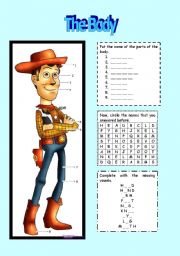 English Worksheet: Body