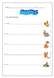 English worksheet: animals