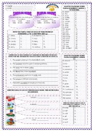 SINGULAR  AND PLURAL NOUNS