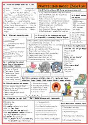 English Worksheet: Practising basic English