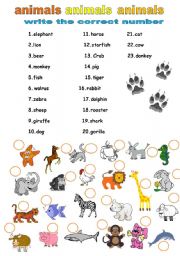 English Worksheet: animals names