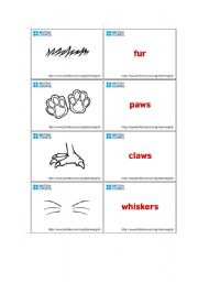 English worksheet: body parts