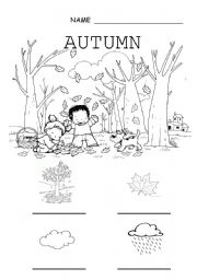 English Worksheet: Autumn