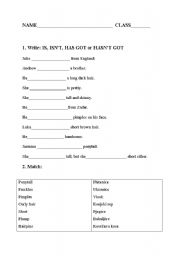 English Worksheet: 4th grade worksheet