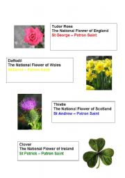 English Worksheet: National flowers and saints of UK