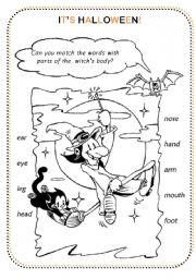 English Worksheet: halloween-witch-body