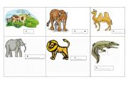 English worksheet: Animals: spelling practice