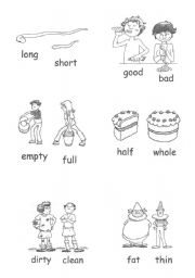 English Worksheet: opposites