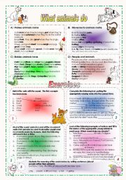 English Worksheet: What animals do