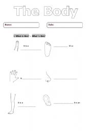 English worksheet: The Body