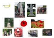 English Worksheet: Remembrance Day in Britain