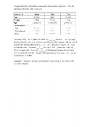 English worksheet: Comparative and Superlative