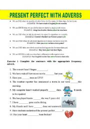 English Worksheet: PRESENT PERFECT WITH FREQUENCY ADVERBS