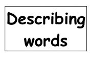 English Worksheet: Describing words