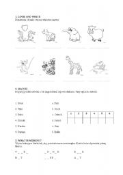 English Worksheet: animal test