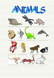 English worksheet: ANIMALS part2