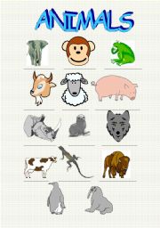 English worksheet: ANIMALS part3