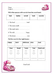English Worksheet: five senses