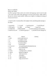 English worksheet: Use of affixes