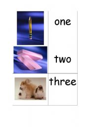 English Worksheet: number sightwords