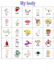 English Worksheet: My body - Flashcards