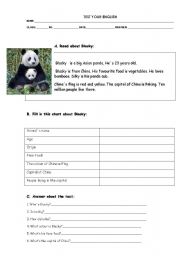 English Worksheet: animals