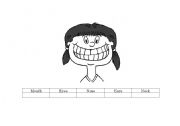 English Worksheet: My Face