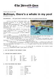 English Worksheet: A Whale in My Pool