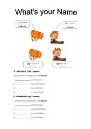 English Worksheet: Name:His/Her