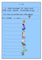 English worksheet: A  -  AN