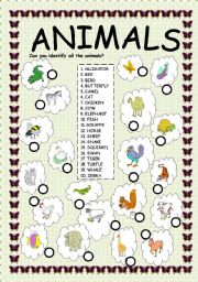 English Worksheet: ANIMALS